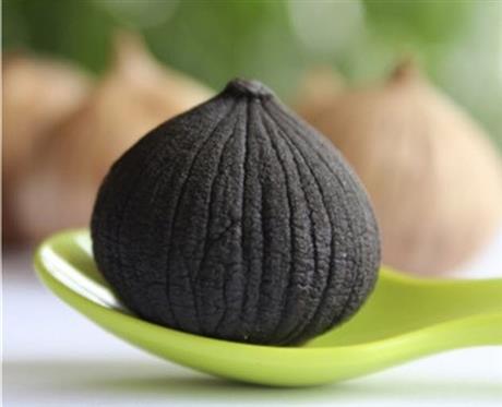 Các yếu tố quan trọng trong quy trình sản xuất tỏi đen